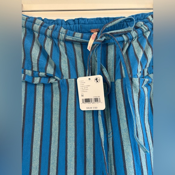 NWT Free People Hudson Canyon Stripe Pant - Picture 4 of 7